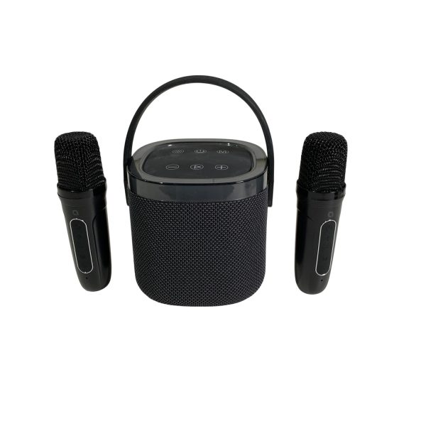 Bärbar karaoke-högtalare med två trådlösa mikrofoner