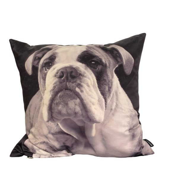Eightmood Kudde Bulldog Svart 46cm Hund