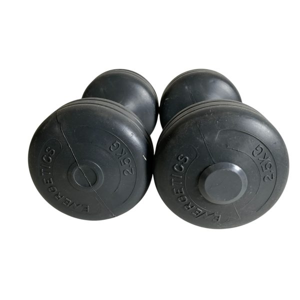 Energetics Hantlar 2,5 kg Grå Träningsvikter Vikter