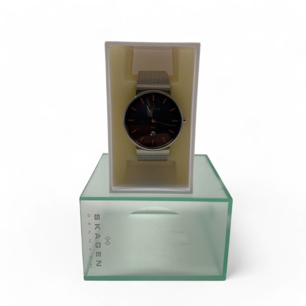 Skagen Denmark Armbandsur Klocka Ur