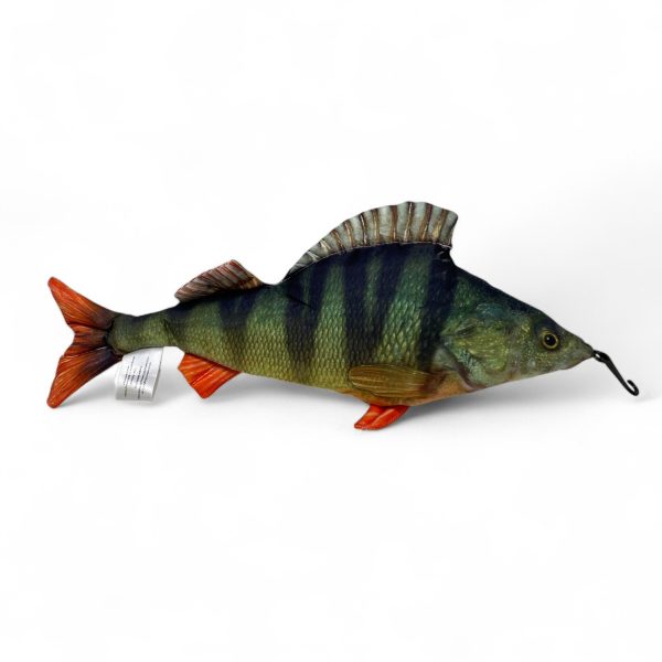 Fladen Abborre Mjukisdjur Fisk