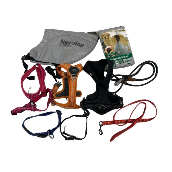 Hundsele Halsband Koppel Reflexväst stl 45-56cm Hund Dog Copenhagem Hurtta