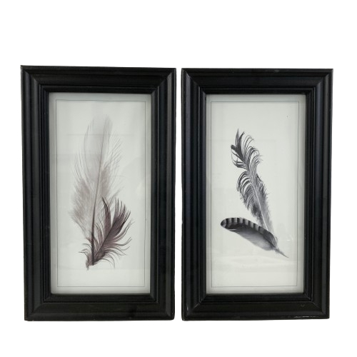 Tavla 2st Fjäder Tavelram Svart Trä Träram Posters