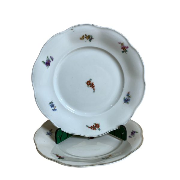 Bavaria Tirschenreuth Porslin 2st Assietter 17cm Blomma