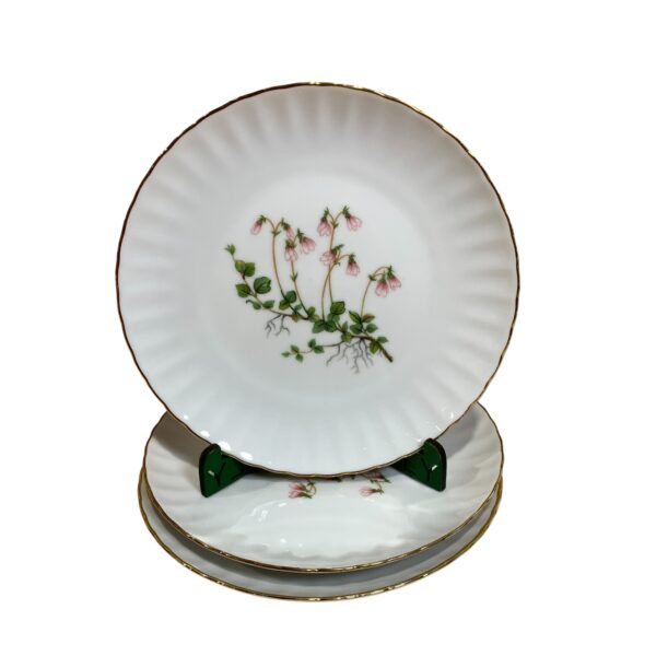 Svaneholm Linnaea Borealis 3st Assietter 17cm Blomma Tallrik