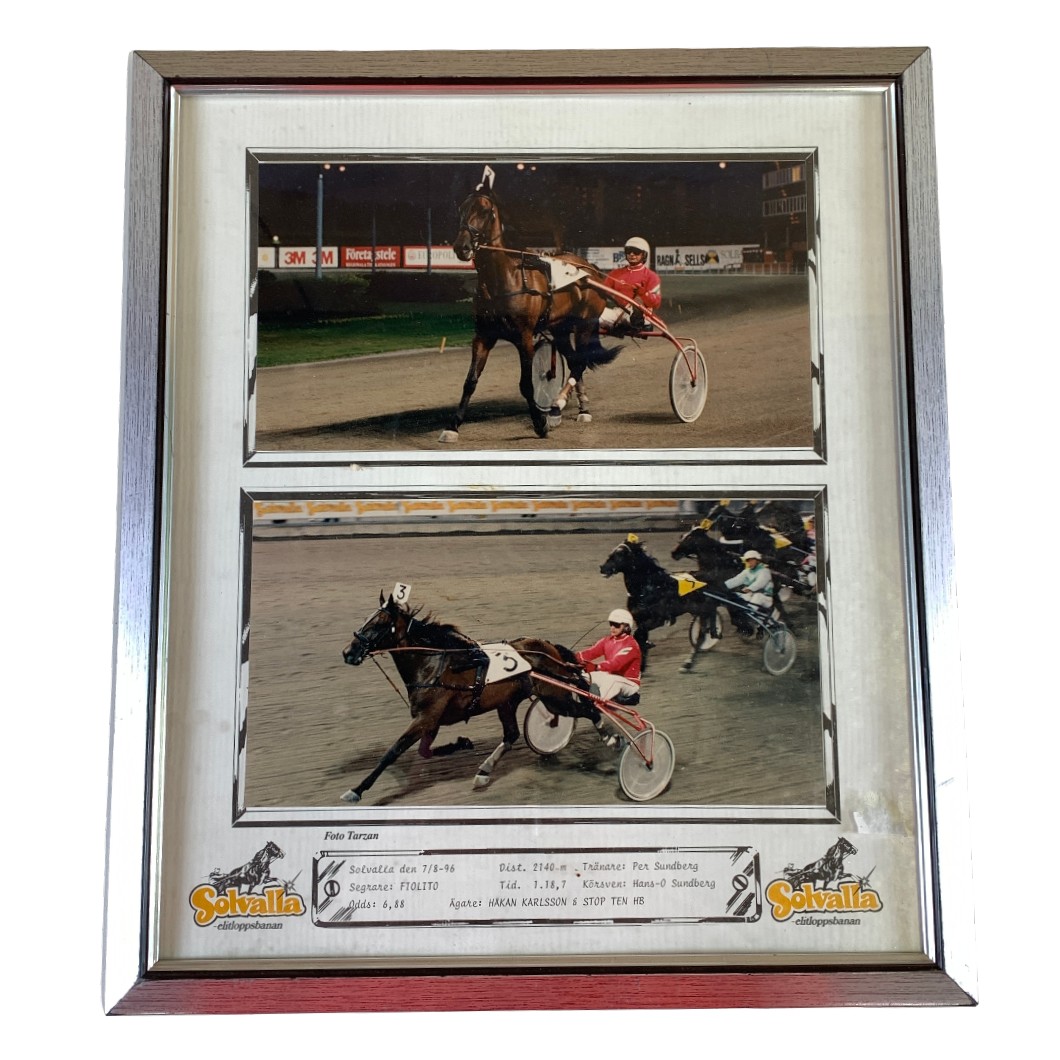 Tavla FIOLITO Hans O Sundberg Solvalla Elitloppsbana 7 augusti 1996 ca 33x39cm