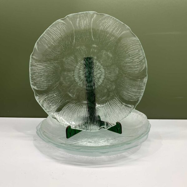 Fleur Arcoroc Tallrikar 4st Glas France
