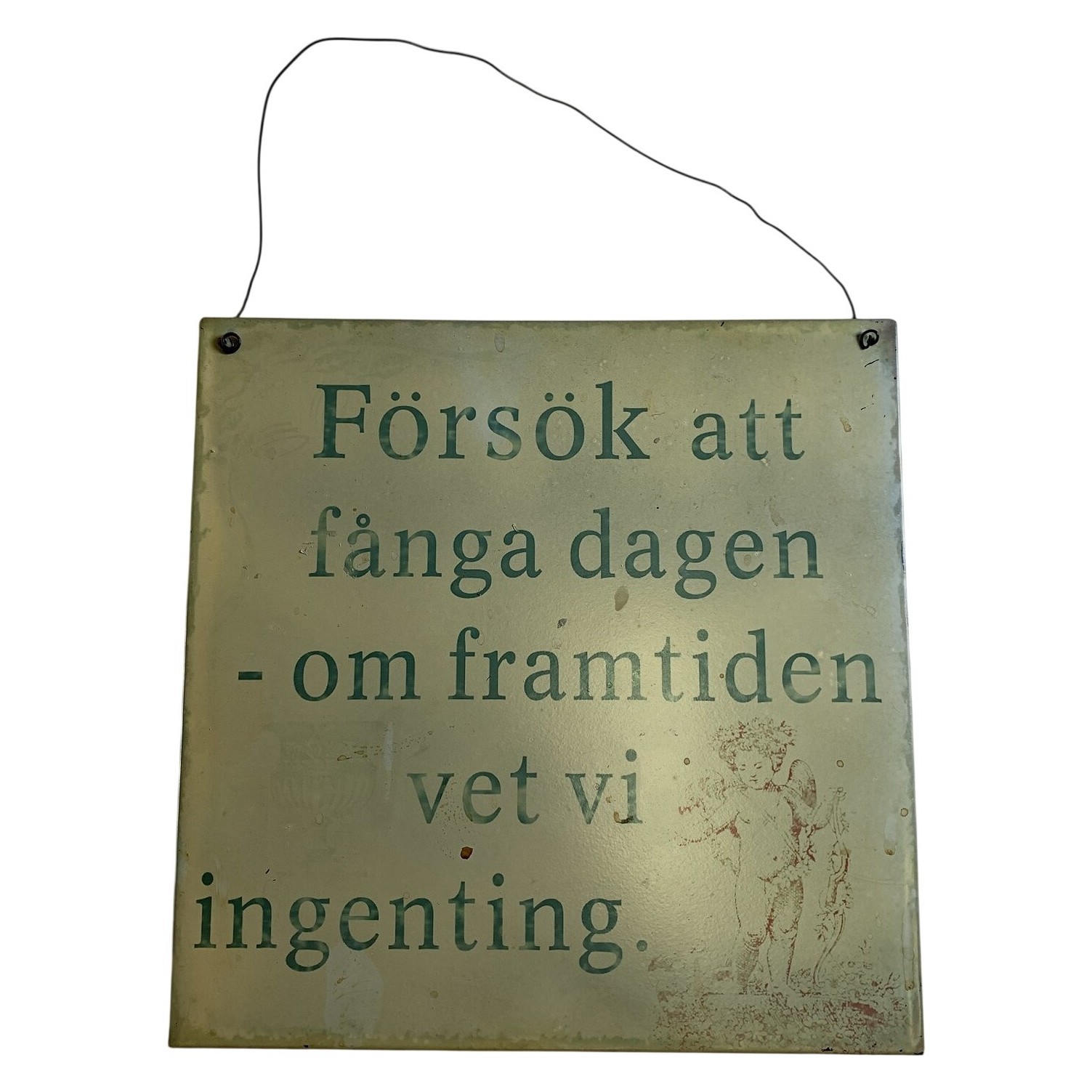 Interiörhuset 73664 Metallskylt Försök Att Fånga Dagen Grön Vintage Stil