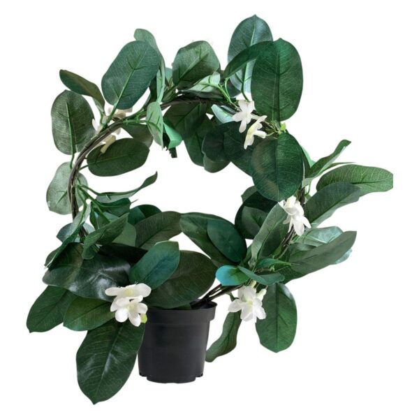 Doftranka Konstväxt Vit Blomma Grön Plastkruka Dekorationsväxt Plastblomma