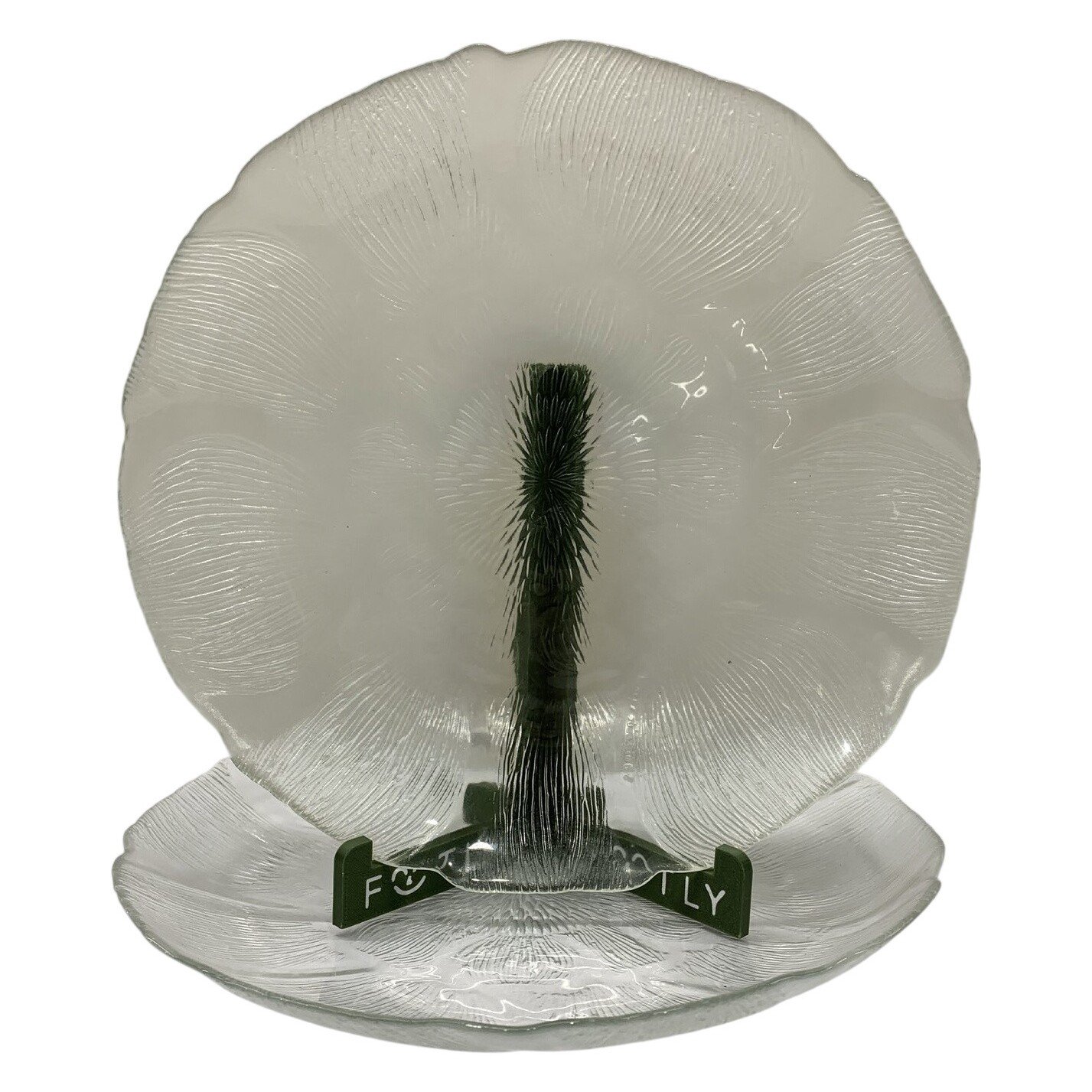 Arcoroc Fleur 2 st Glastallrikar 23 cm France Blommönster Retro Tallrik Glas