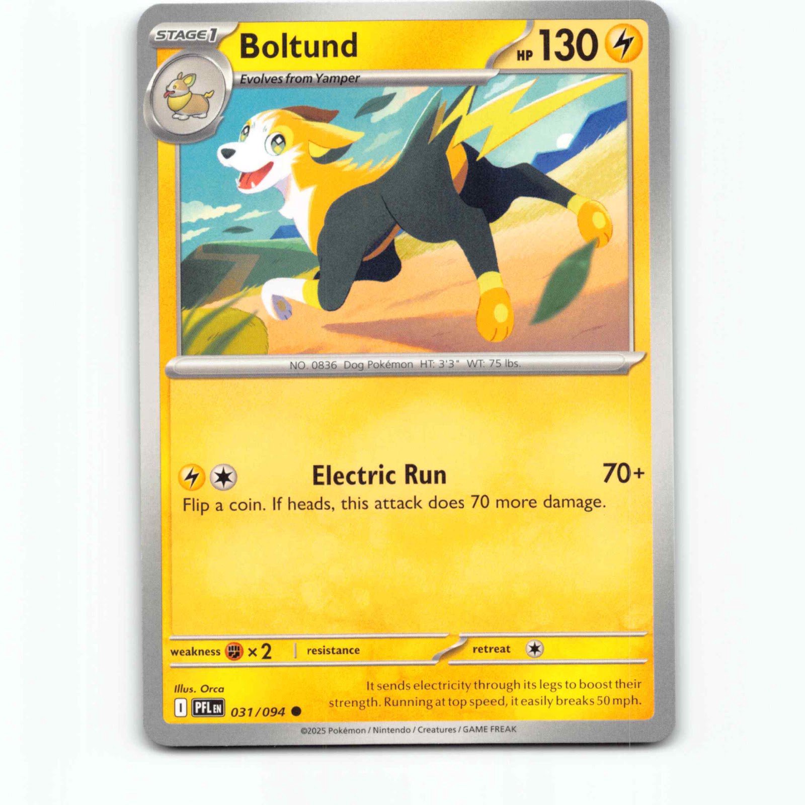 Boltund 031/094 Pokémon PFL EN Phantasmal Flames Pokemon Kort Mega Evolution