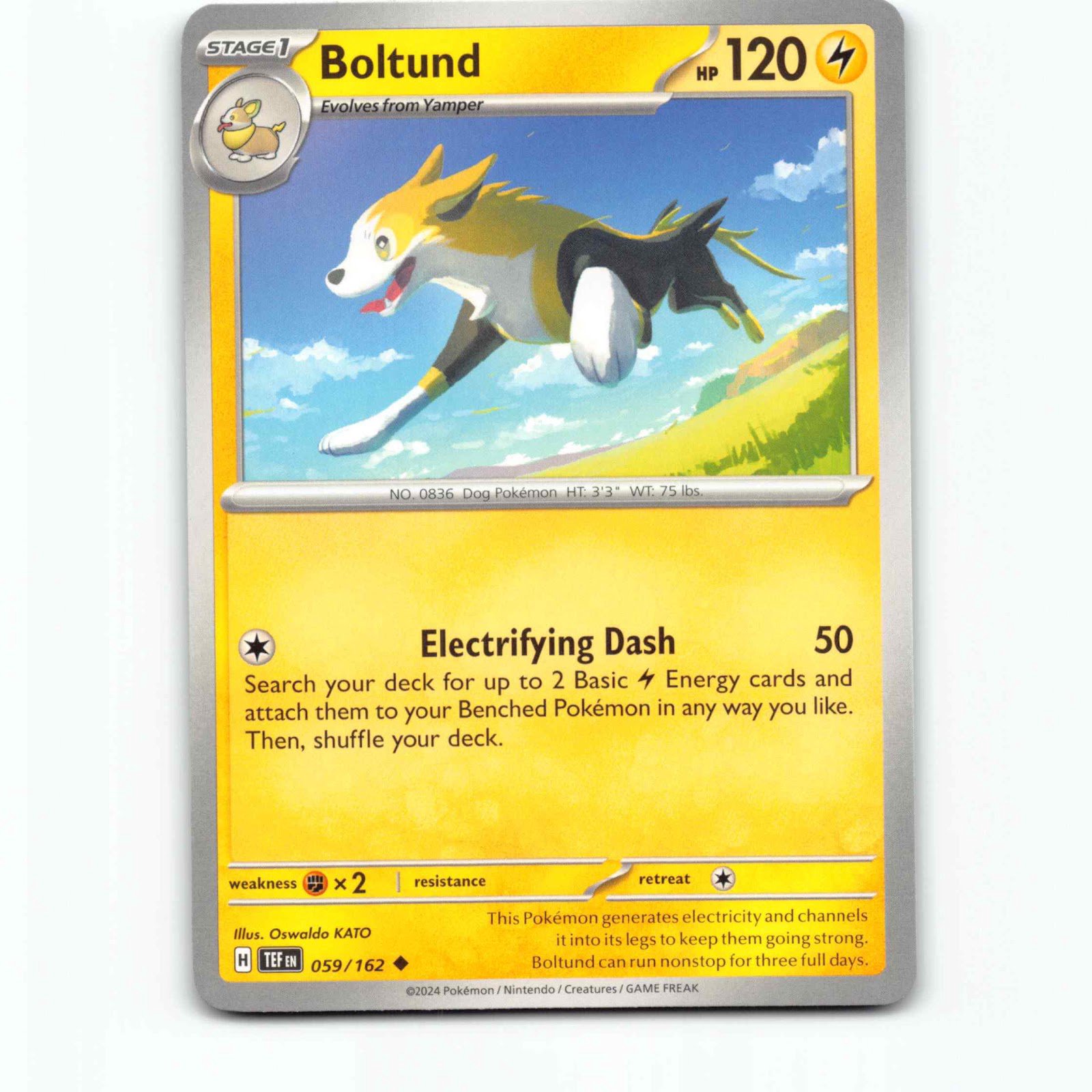 Boltund 059/162 Pokémon TEF EN Temporal Forces Pokemon Kort Scarlet & Violet