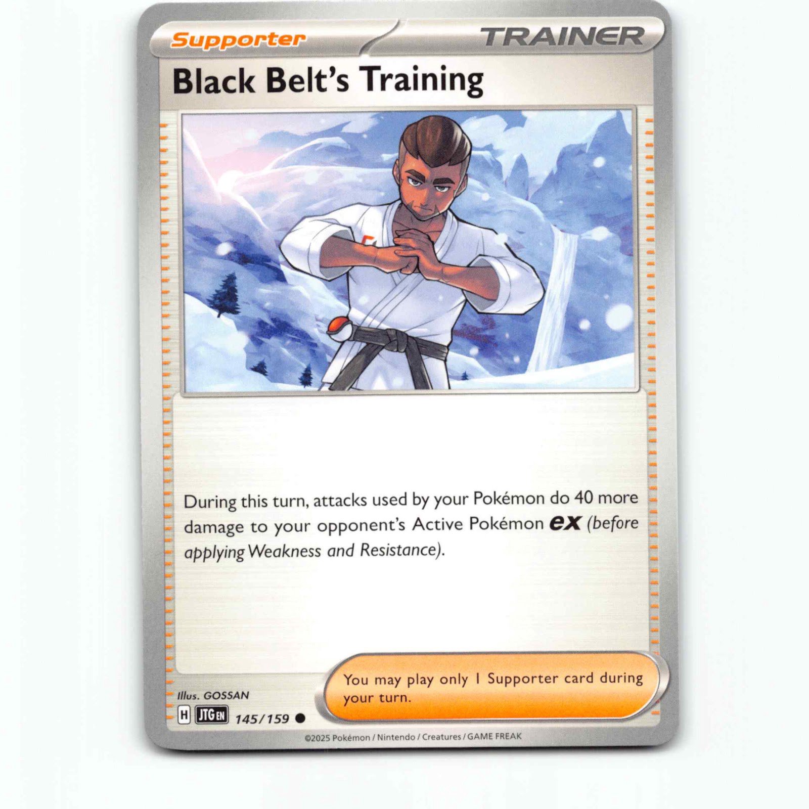 Black Belt's Training 145/159 Pokémon JTG EN Journey Together Pokemon Kort Scarl