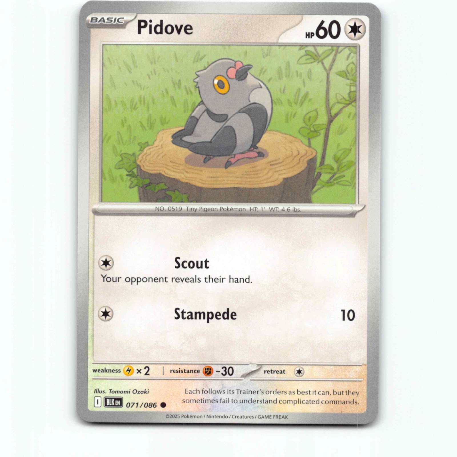 Pidove 071/086 Pokémon BLK EN Black Bolt Pokemon Kort Scarlet & Violet