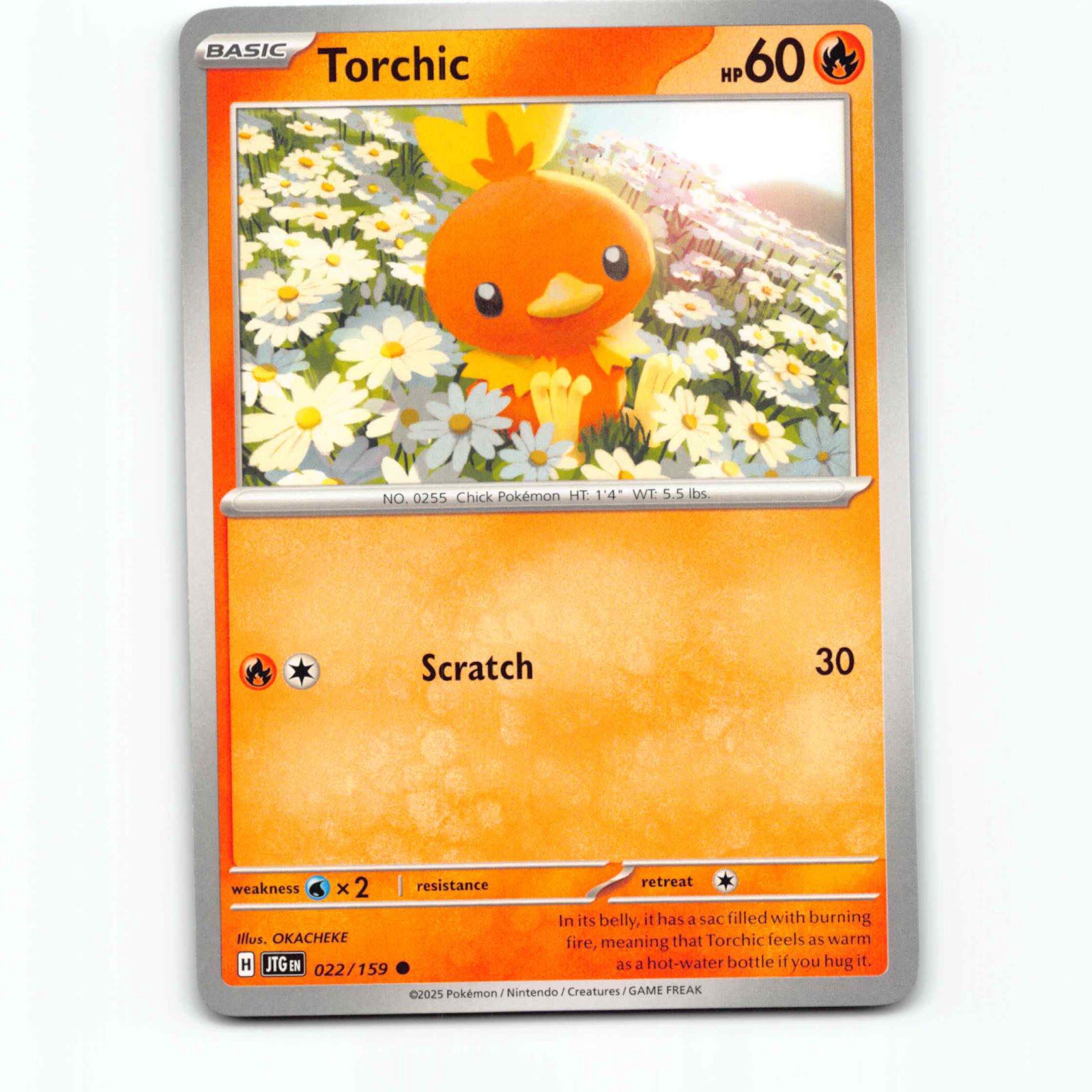 Torchic 022/159 Pokémon JTG EN Journey Together Pokemon Kort Scarlet & Violet