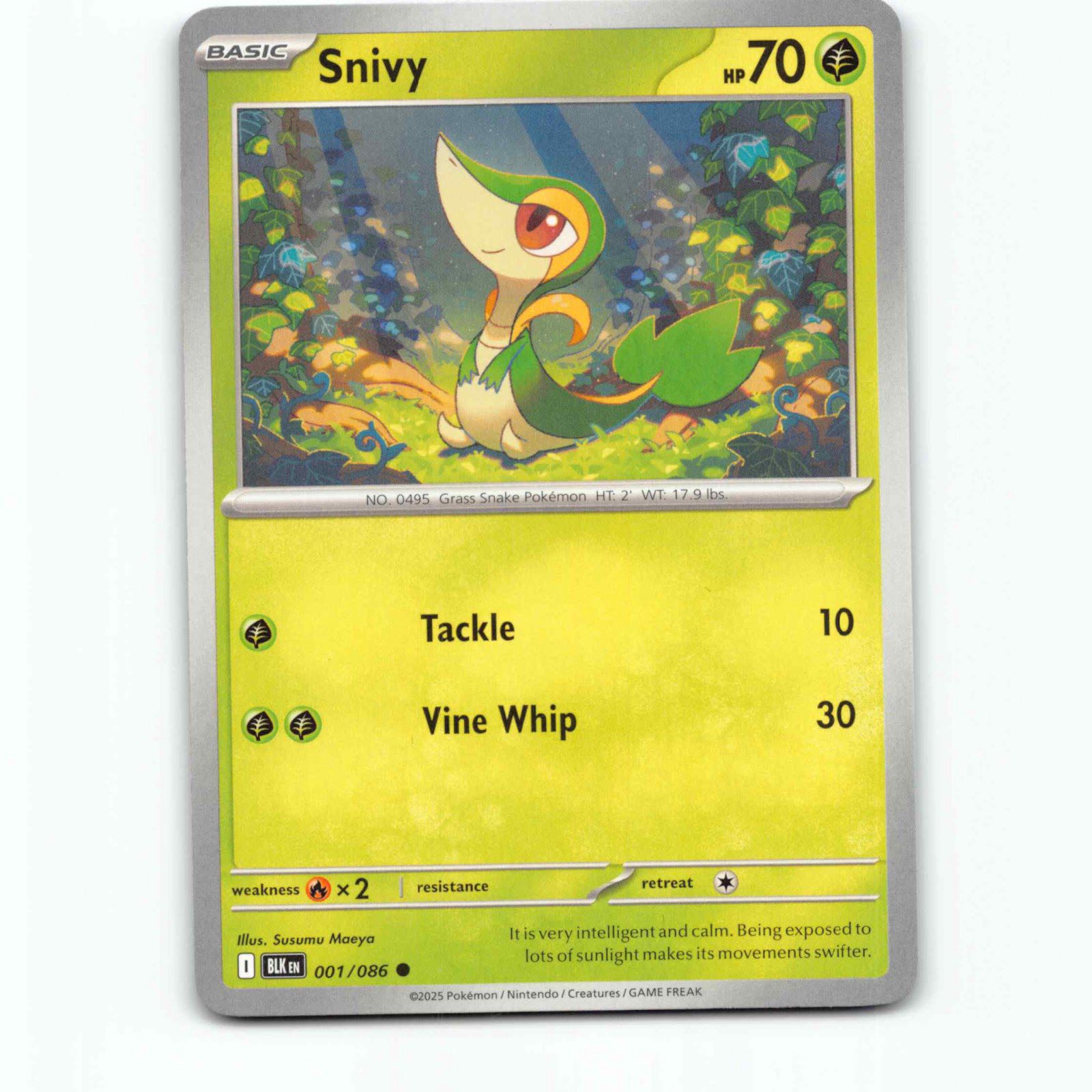 Snivy 001/086 Pokémon BLK EN Black Bolt Pokemon Kort Scarlet & Violet
