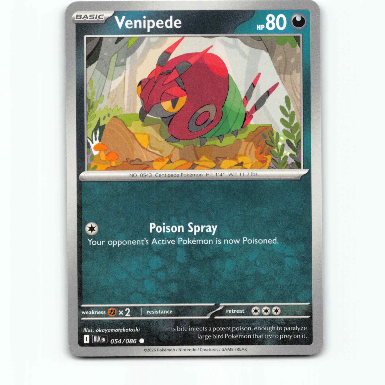 Venipede 054/086 Pokémon BLK EN Black Bolt Pokemon Kort Scarlet & Violet