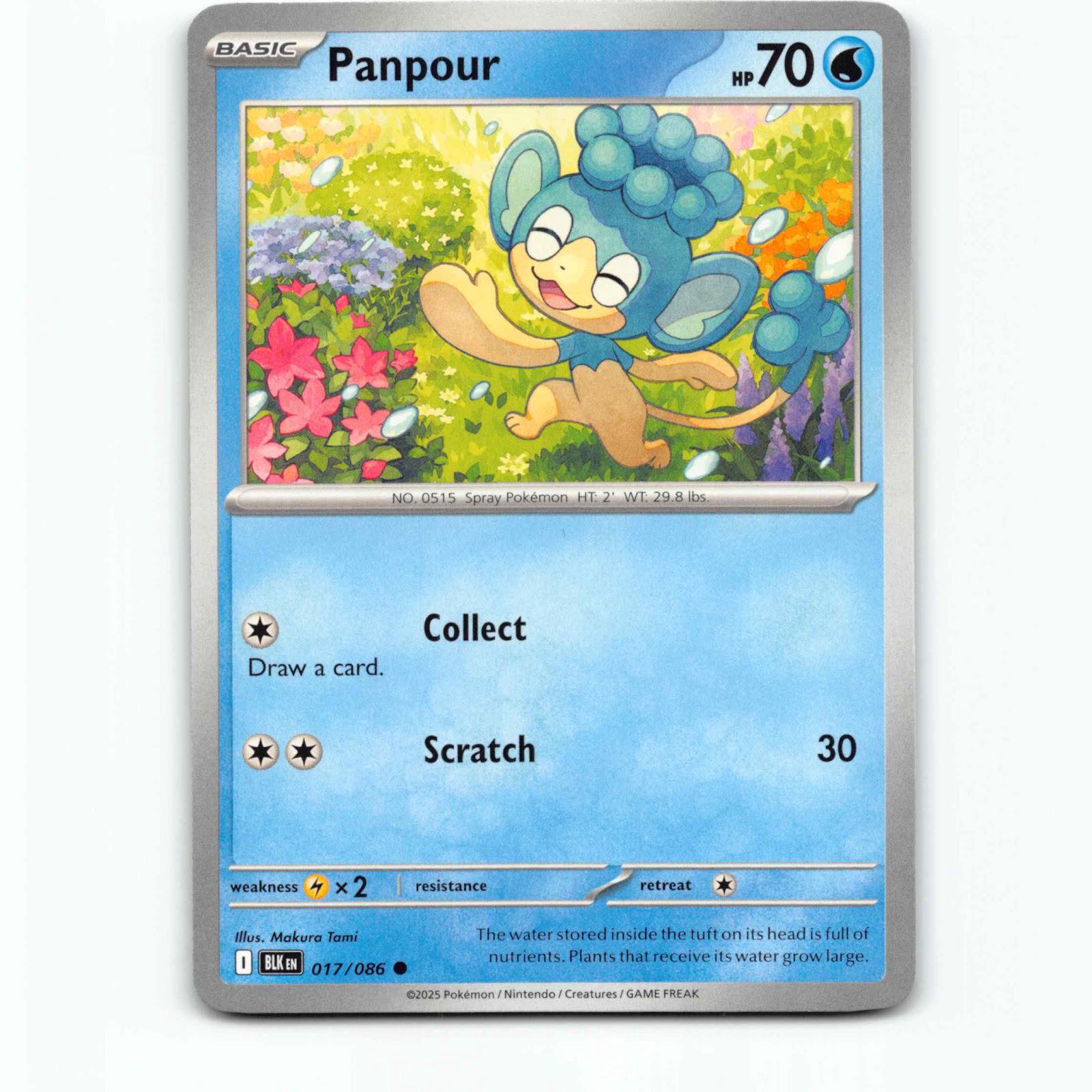 Panpour 17 Pokémon BLK EN 017/086 Black Bolt Pokemon Kort Scarlet & Violet