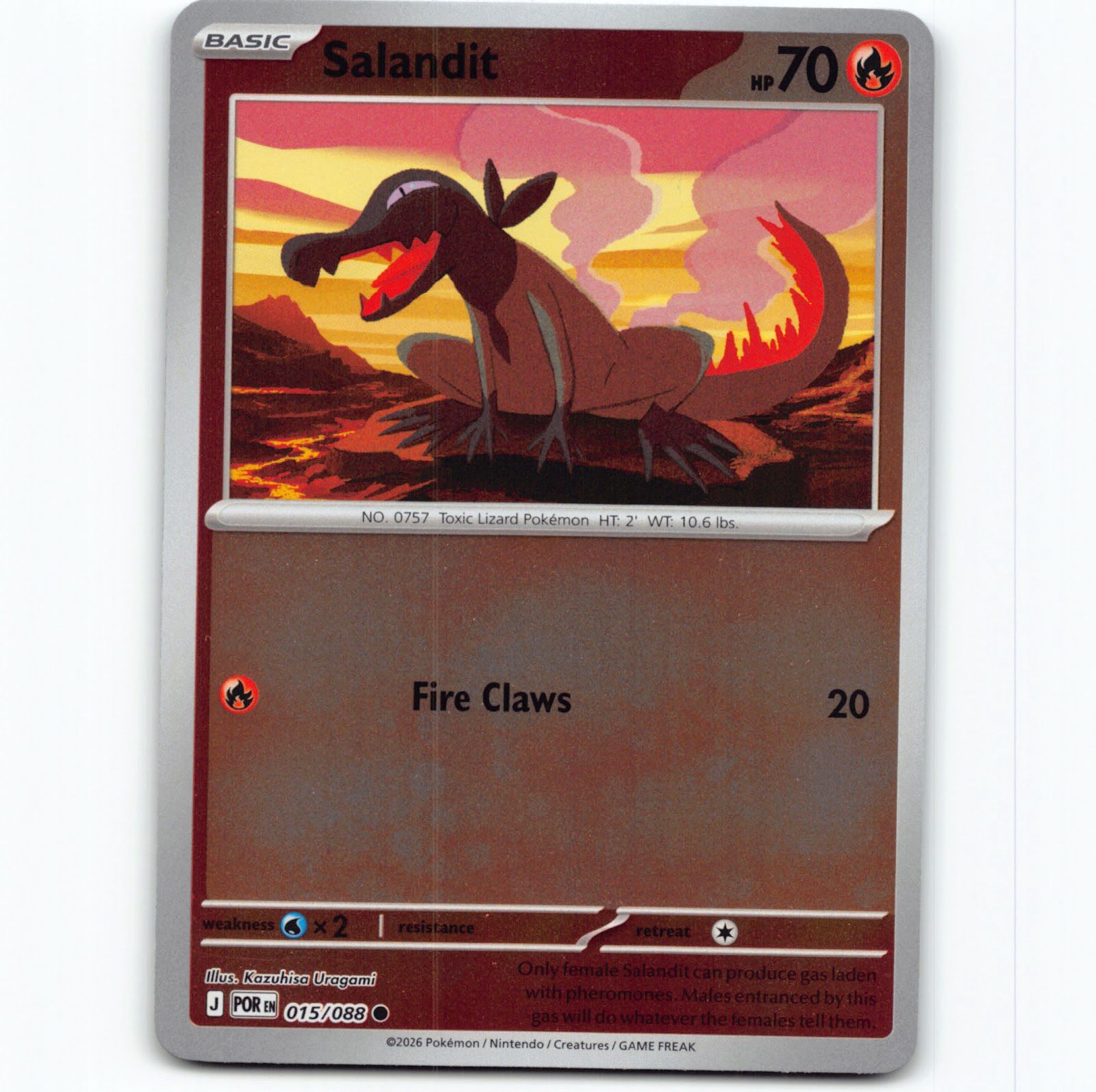 Pokémon Salandit POR EN 015/088 Reverse Holo Pokemon Kort Perfect Order Mega Evo