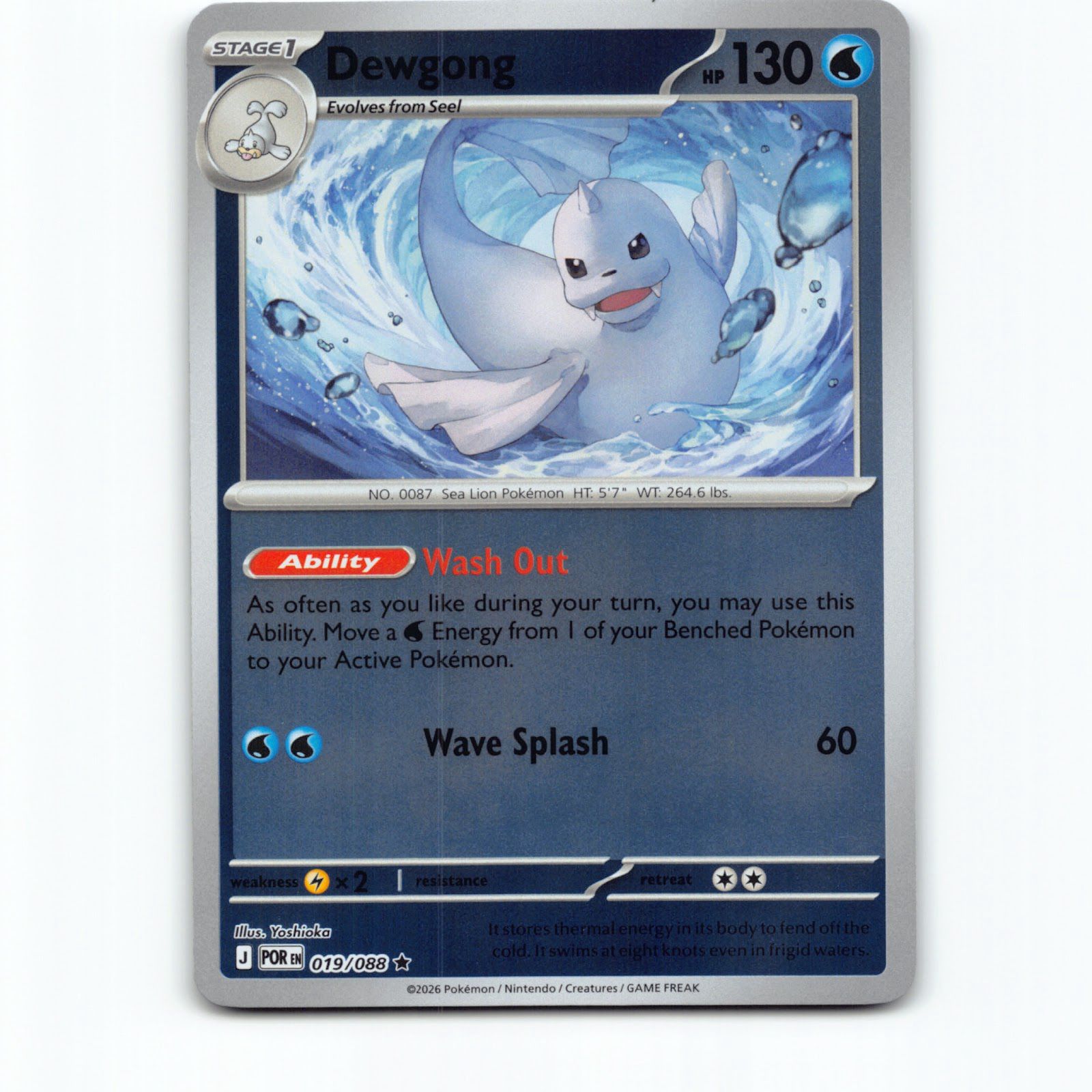Pokémon Dewgong POR EN 019/088 Reverse Holo Pokemon Kort Perfect Order Mega Evol