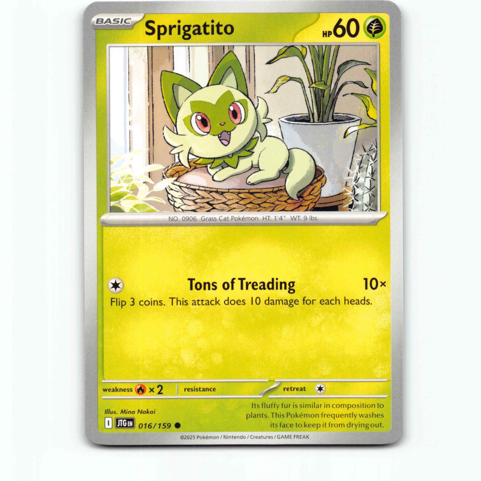 Sprigatito 016/159 Pokémon JTG EN Journey Together Pokemon Kort Scarlet & Violet