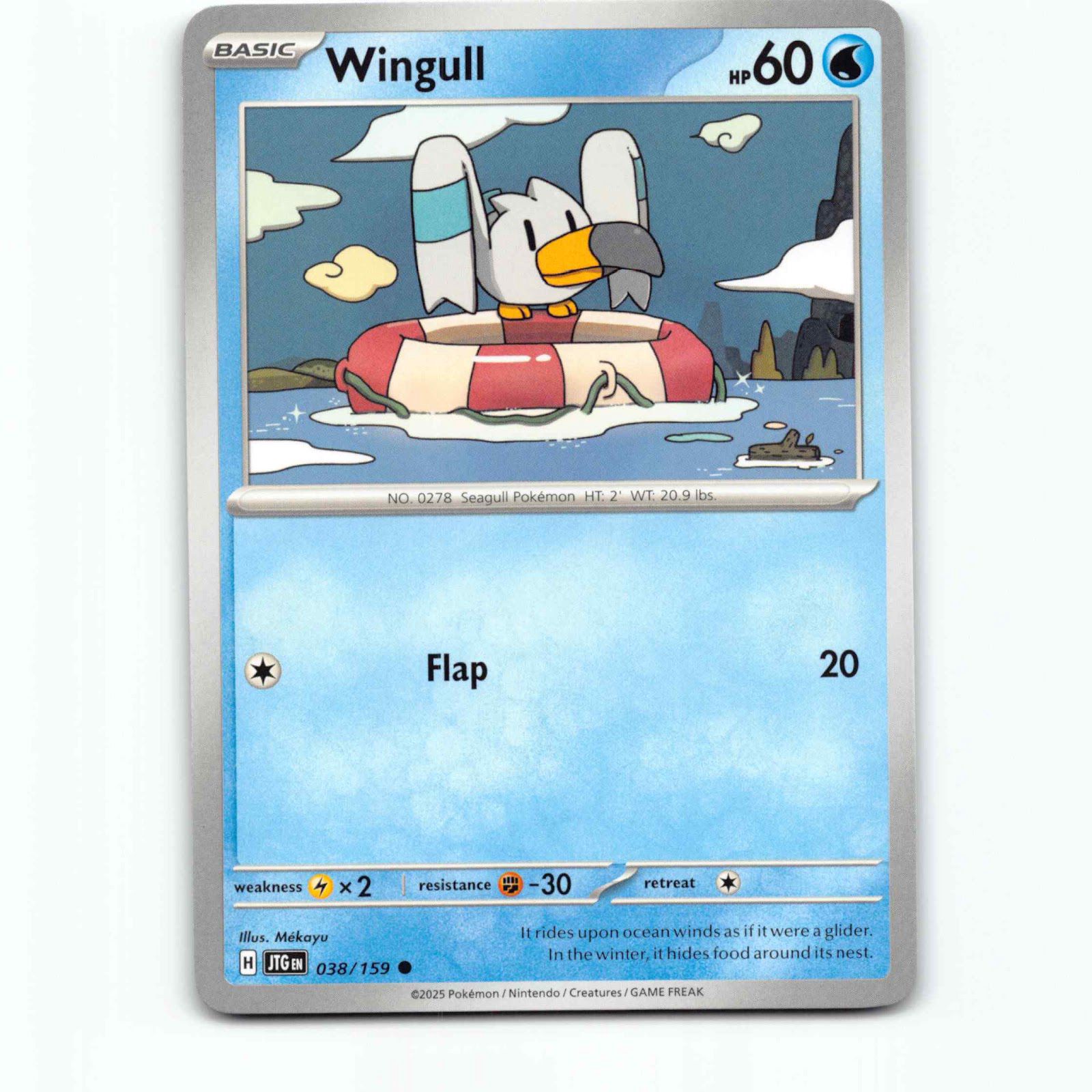Wingull 038/159 Pokémon JTG EN Journey Together Pokemon Kort Scarlet & Violet