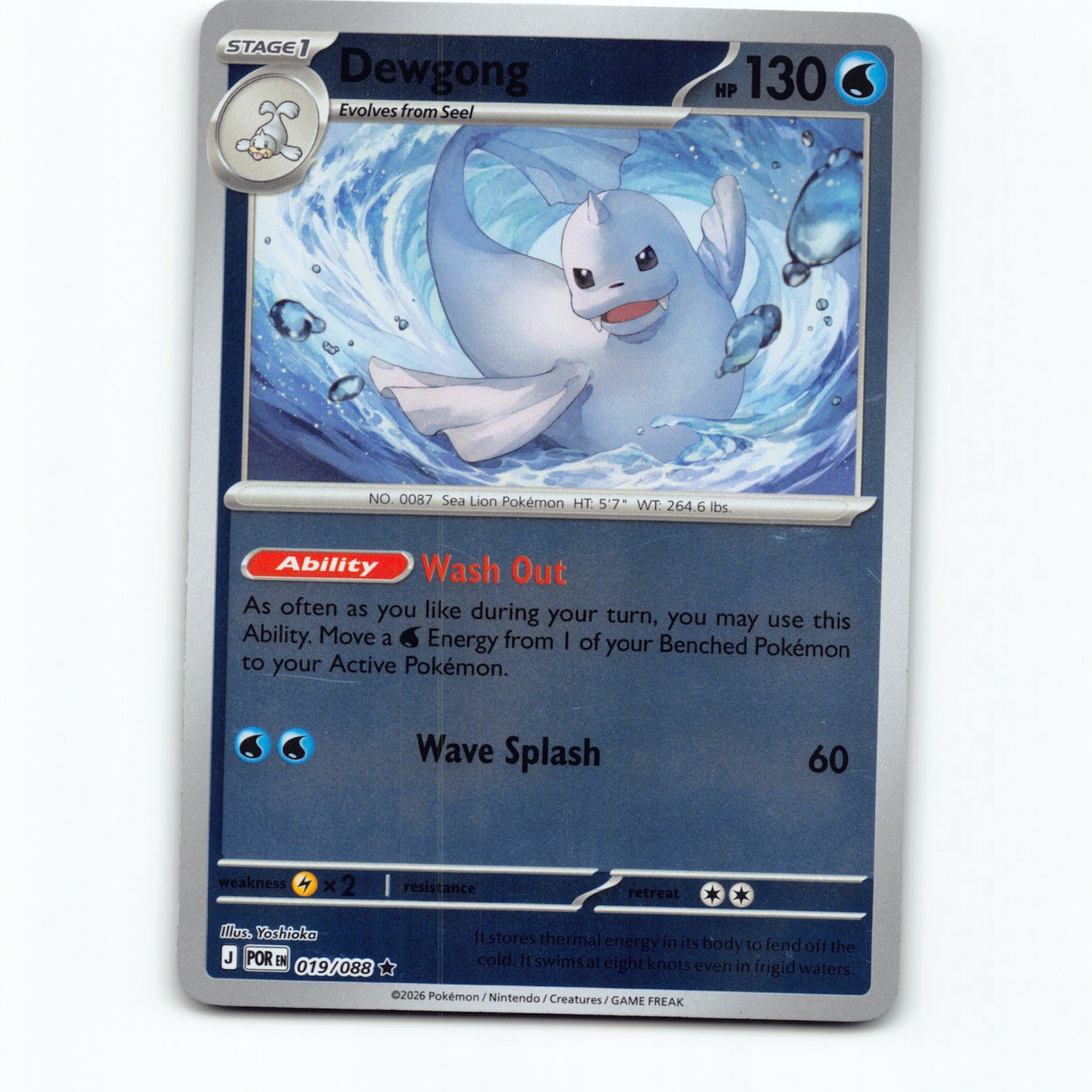 Dewgong 019/088 Pokémon Reverse Holo POR EN Perfect Order Pokemon Kort Mega Evol