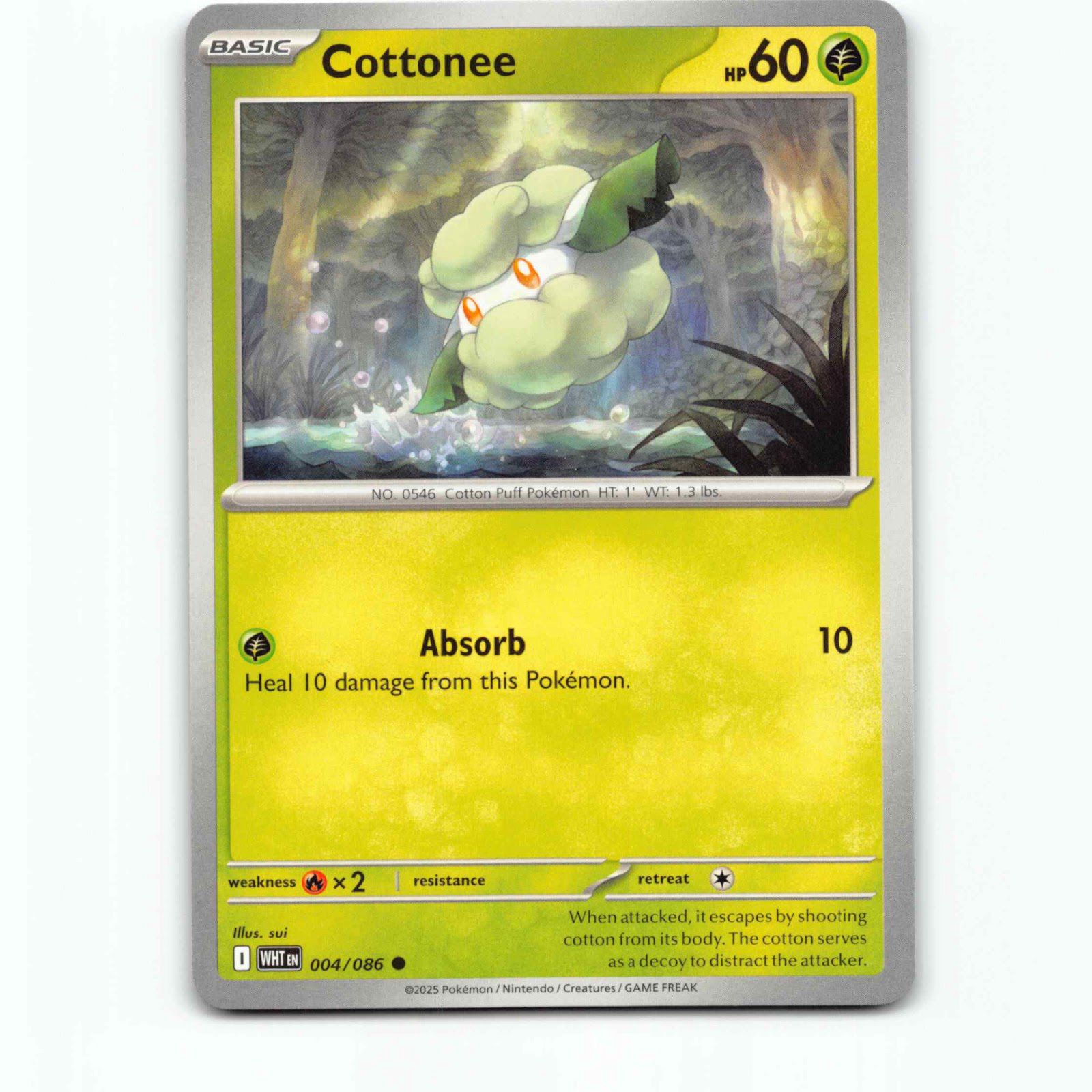 Cottonee 004/086 Pokémon WHT EN White Flare Pokemon Kort Scarlet & Violet