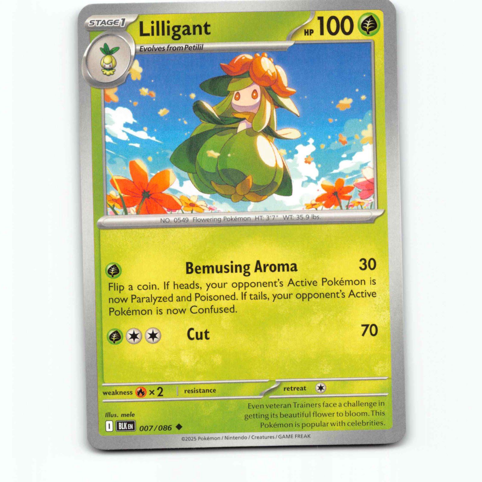 Lilligant 007/086 Pokémon BLK EN Black Bolt Pokemon Kort Scarlet & Violet