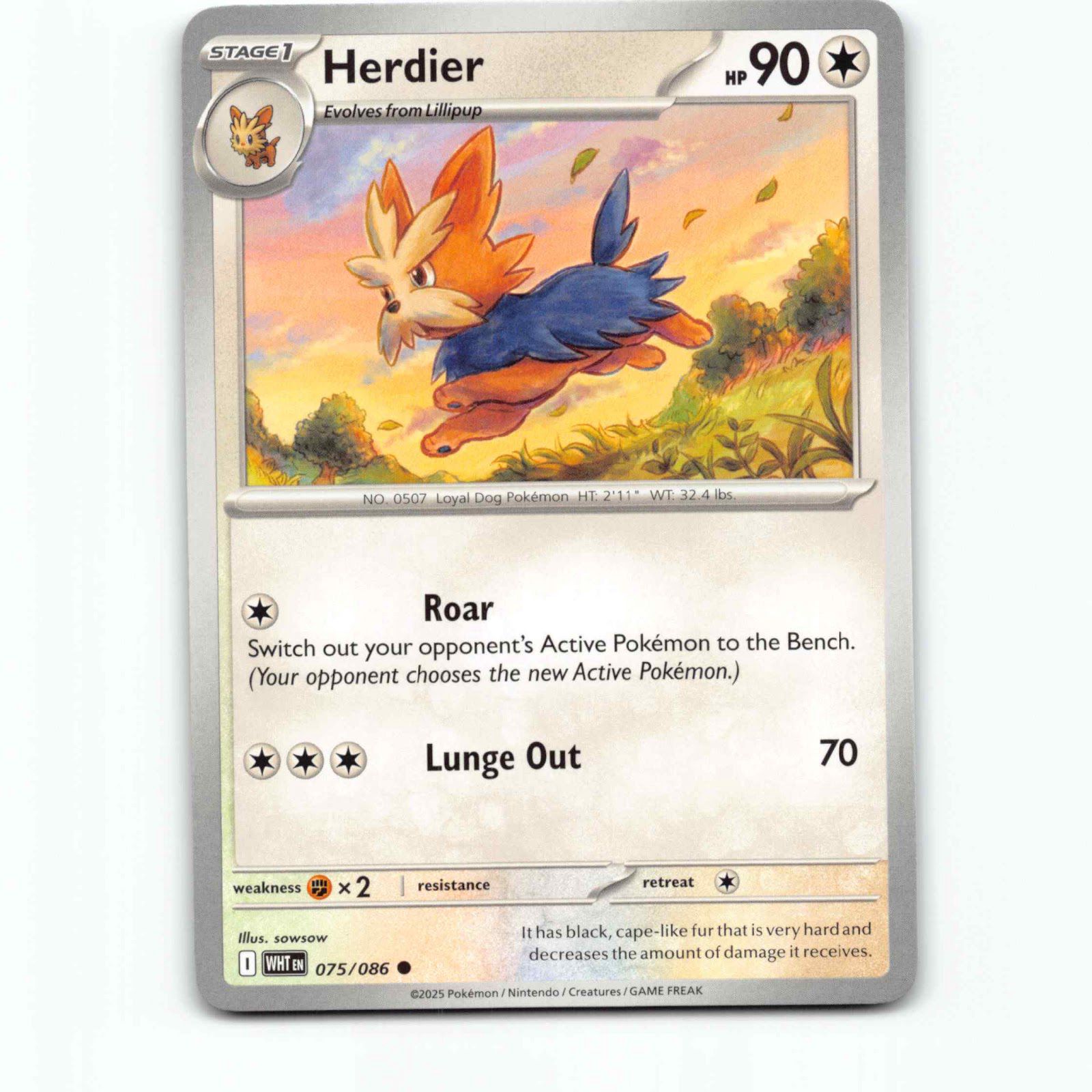Herdier 075/086 Pokémon WHT EN White Flare Pokemon Kort Scarlet & Violet