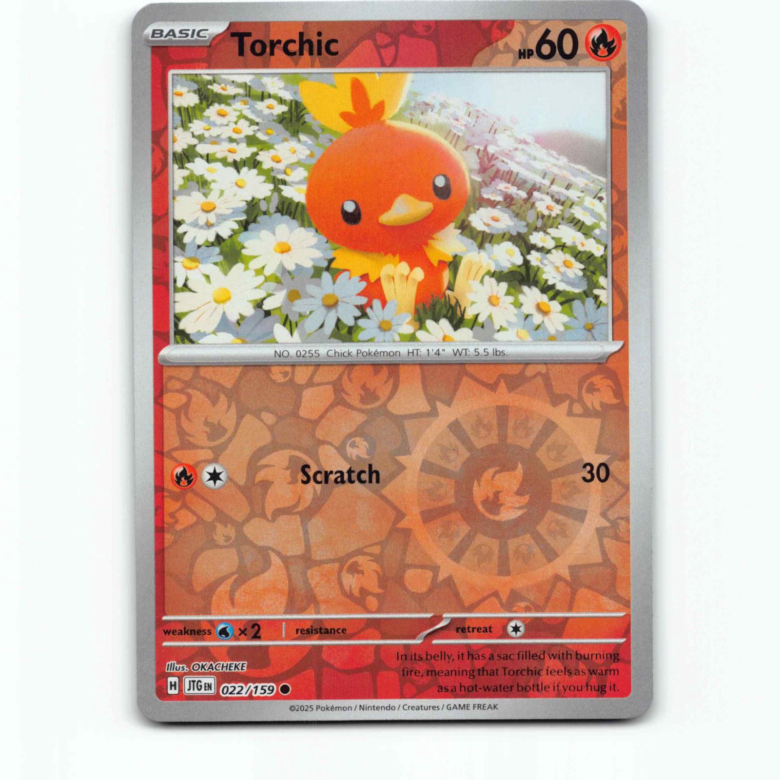 Torchic 22 Reverse Holo Pokémon JTG EN 022/159 Journey Together Pokemon Kort