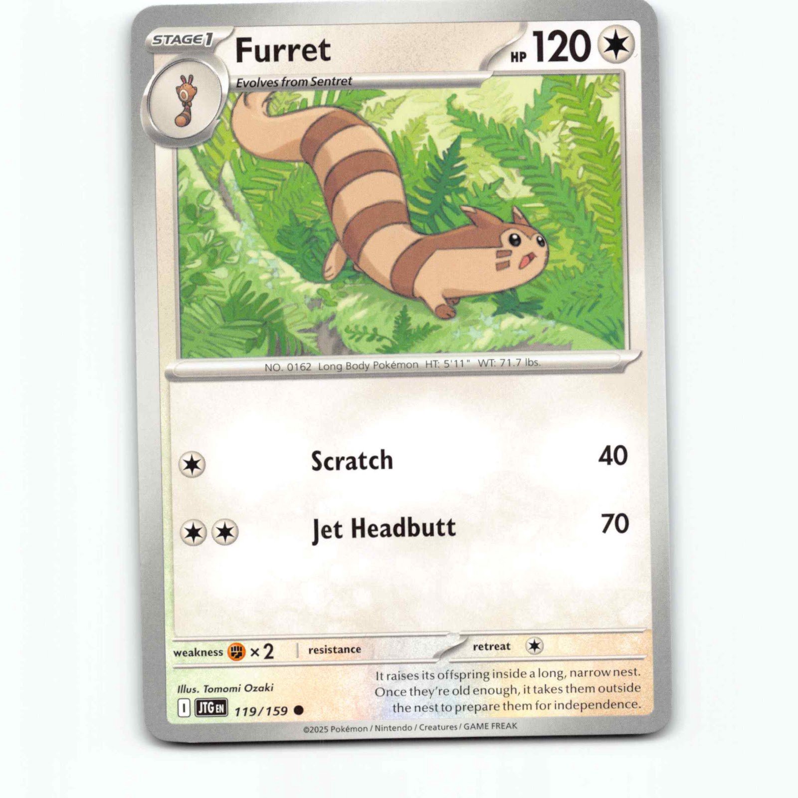 Furret 119/159 Pokémon JTG EN Journey Together Pokemon Kort Scarlet & Violet