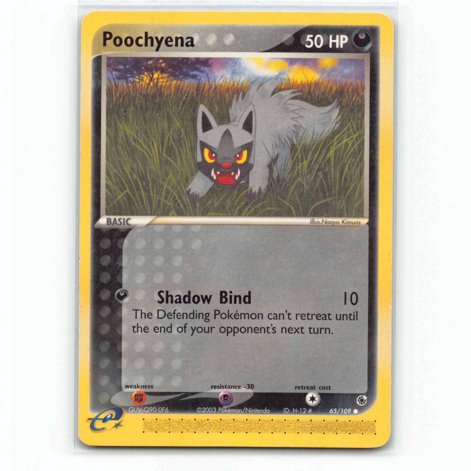 Poochyena 65 Pokémon RS EN 65/109 Ruby & Sapphire Pokemon Kort EX-Era