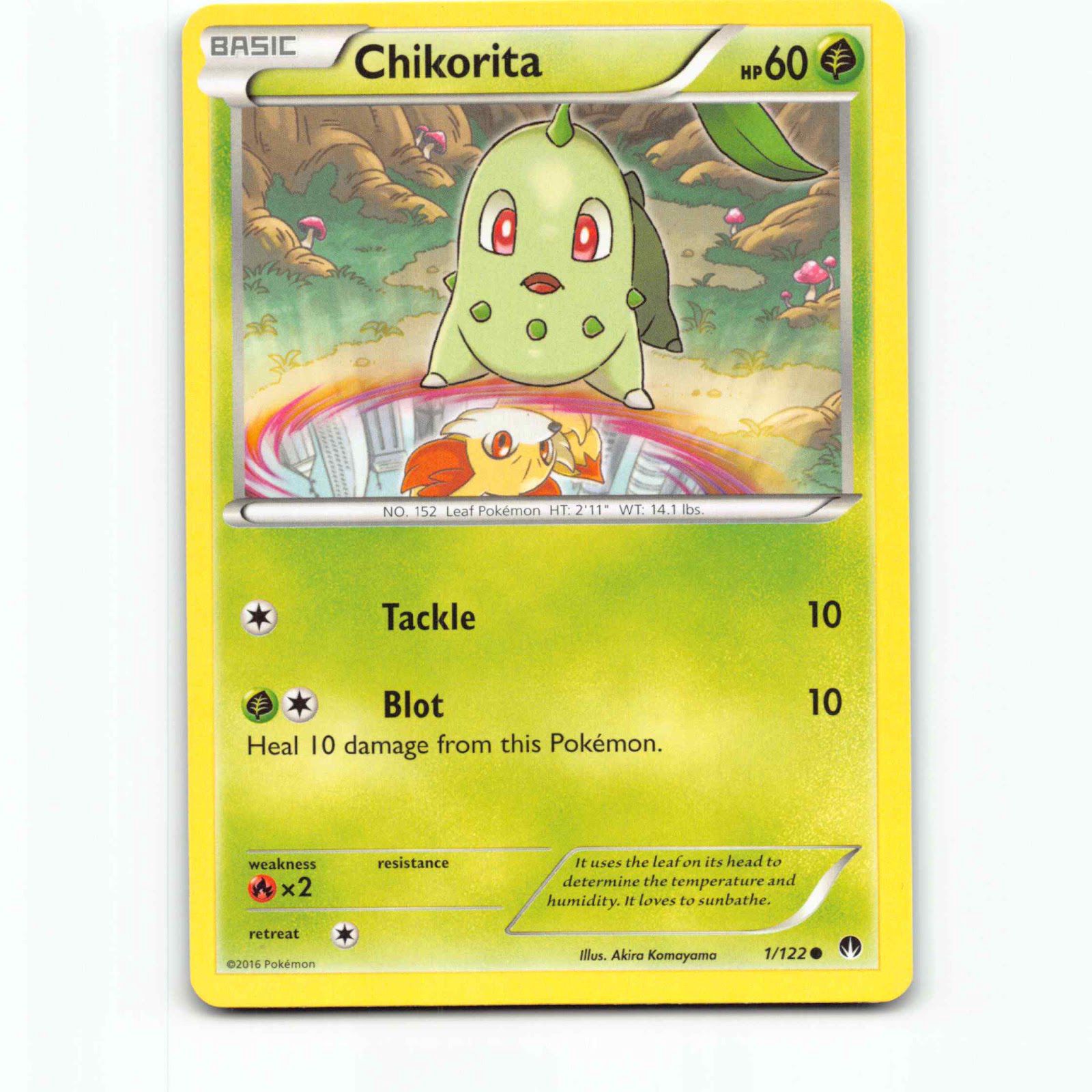 Chikorita 1 Pokémon BKP EN 1/122 BREAKpoint Pokemon Kort XY-Era