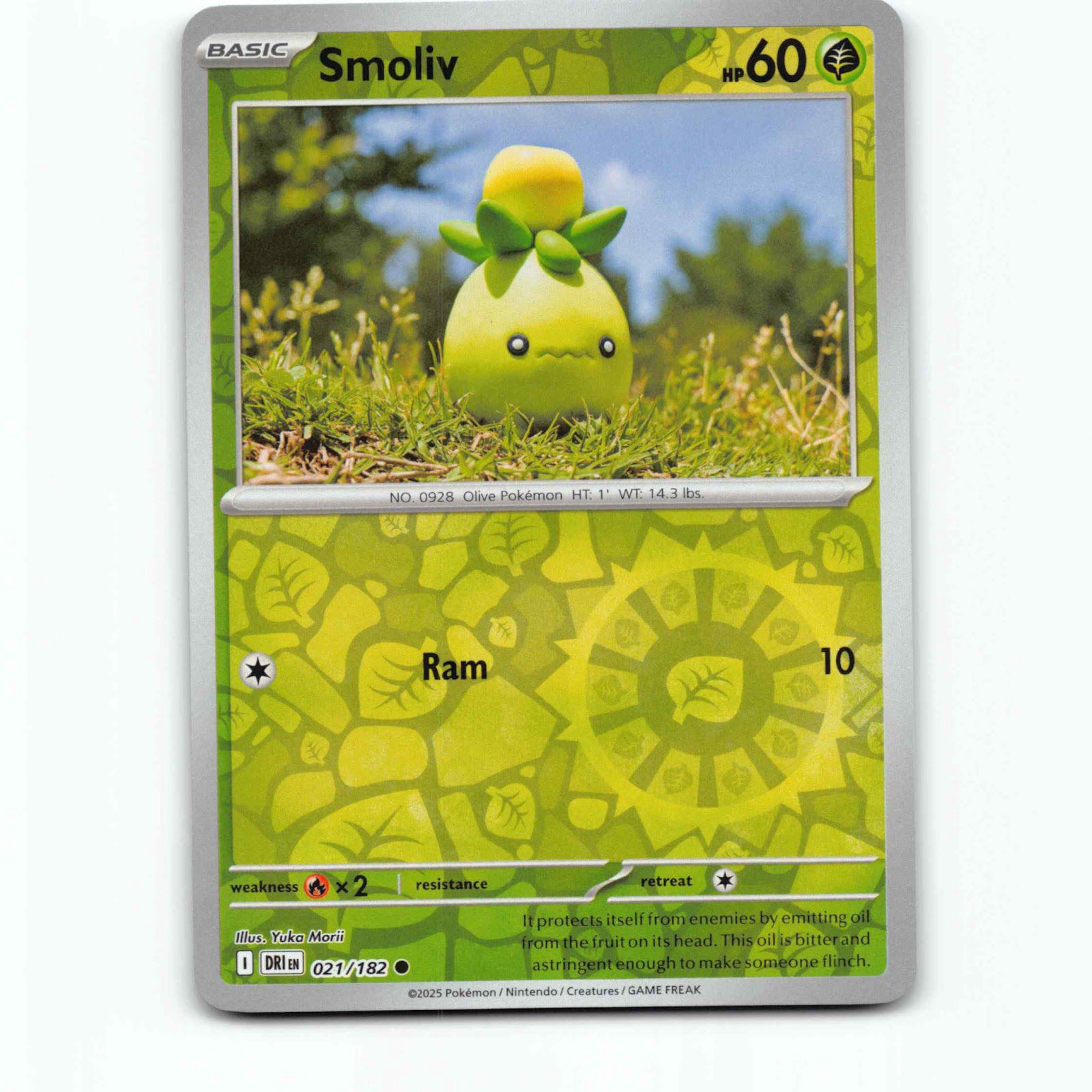 Smoliv 21 Reverse Holo Pokémon DRI EN 021/182 Destined Rivals Pokemon Kort