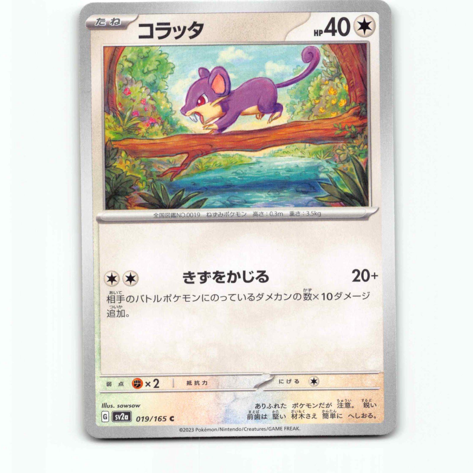 Rattata 19 Pokémon SV2A JP 019/165 Pokémon Card 151 Pokemon Kort