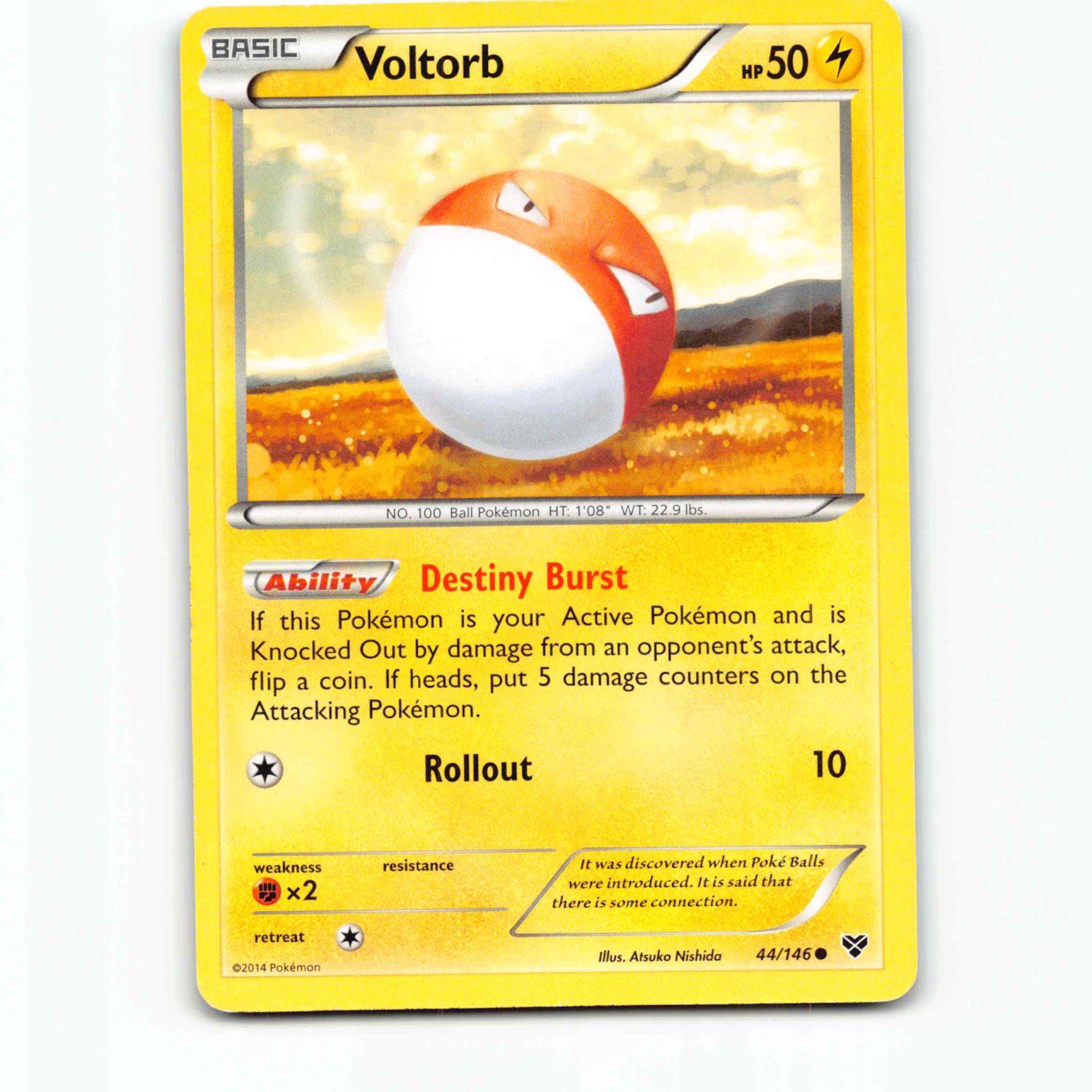 Voltorb 44 Pokémon XY EN 44/146 XY Pokemon Kort XY-Era