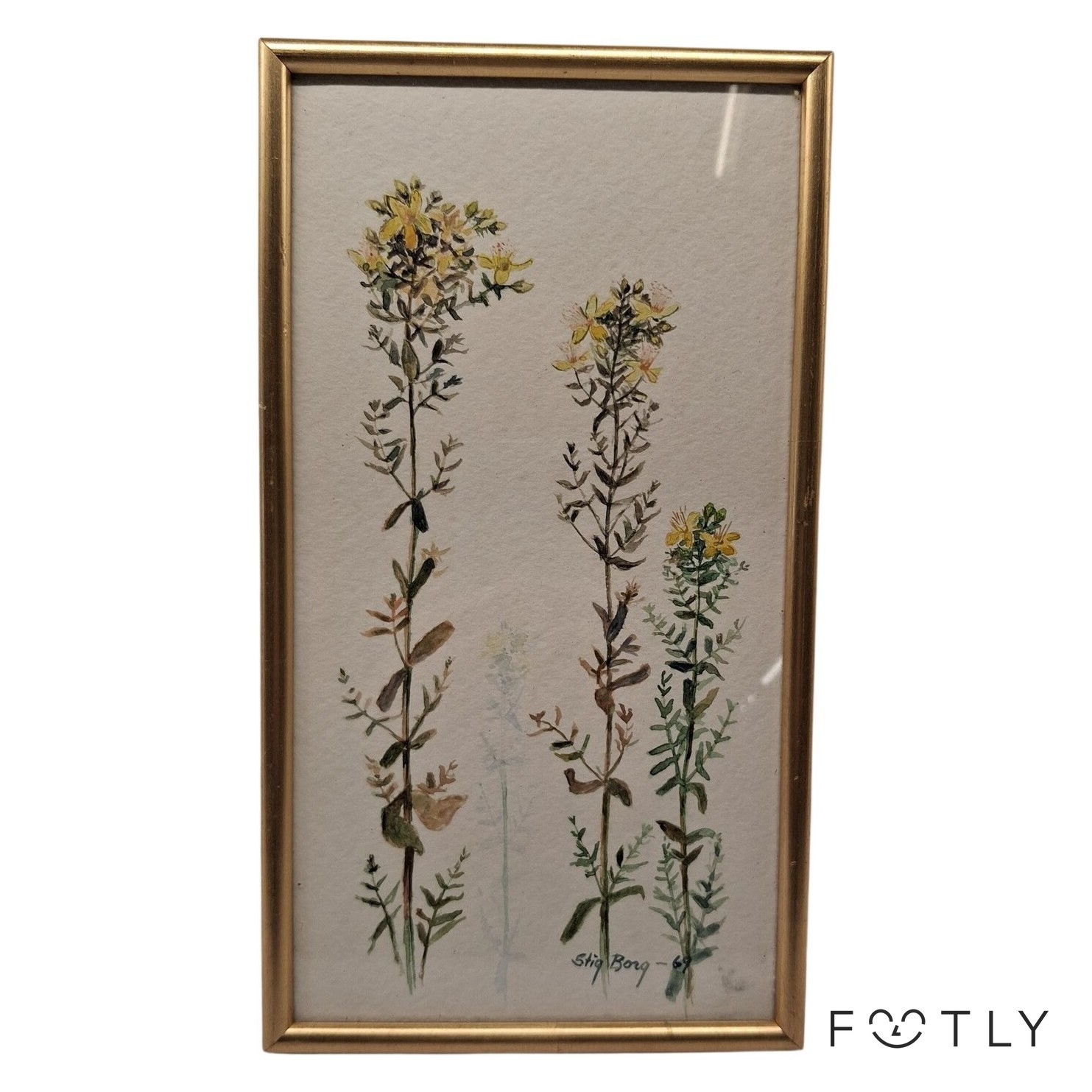 Stig Borg Akvarell 1969 Johannesört Vintage Tavla Gul Blommor Västerås Signerad
