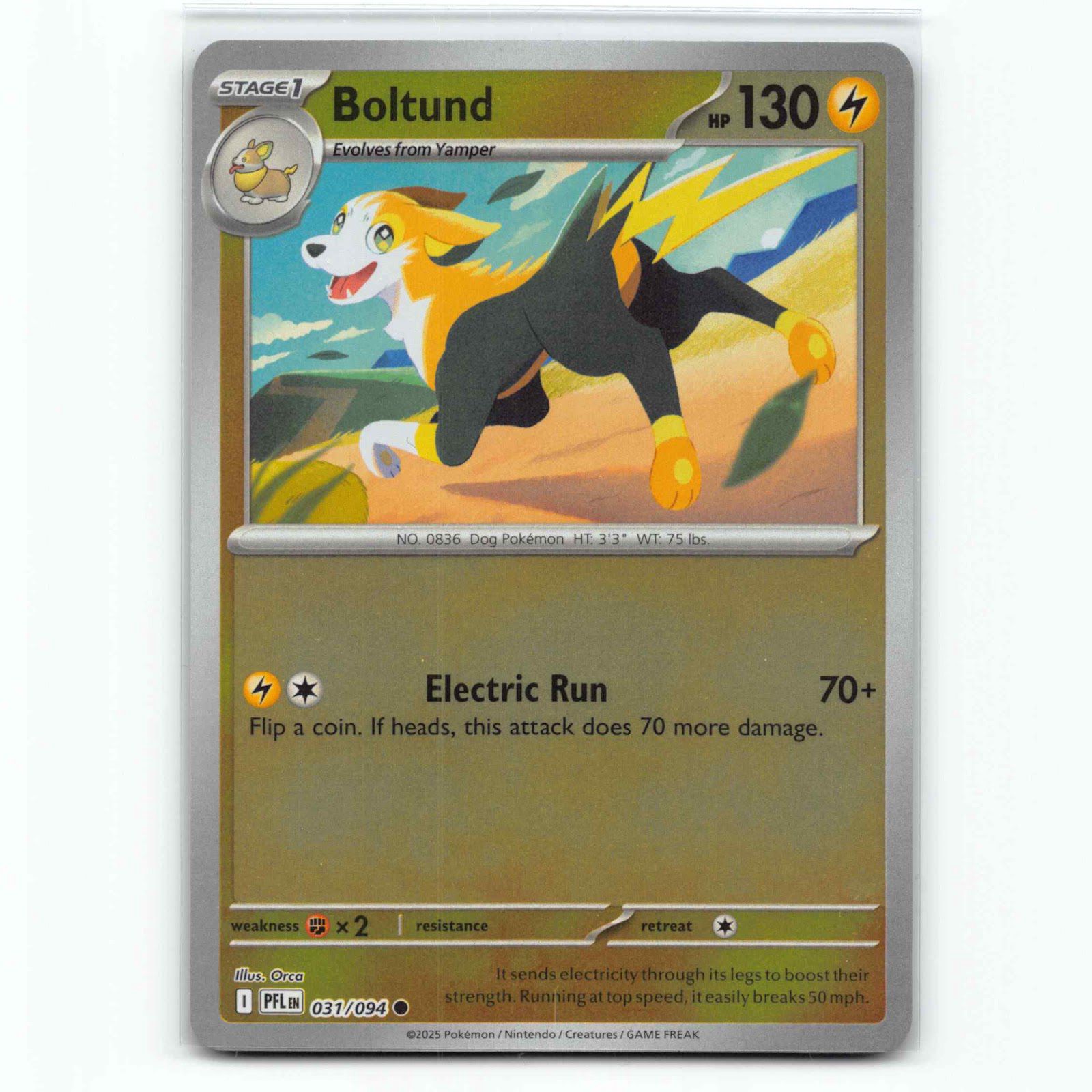 Boltund 31 Reverse Holo Pokémon PFL EN 031/094 Phantasmal Flames Pokemon Kort