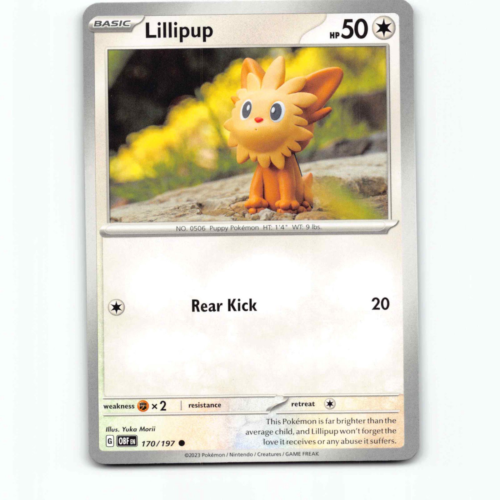 Lillipup 170 Pokémon OBF EN 170/197 Obsidian Flames Pokemon Kort